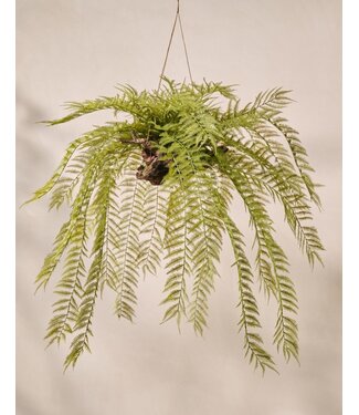 SILK-KA Fougère artificielle suspendue verte 119 cm XL / SILK-KA