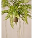 SILK-KA Kunst hangplant varen groen 74 cm / SILK-KA
