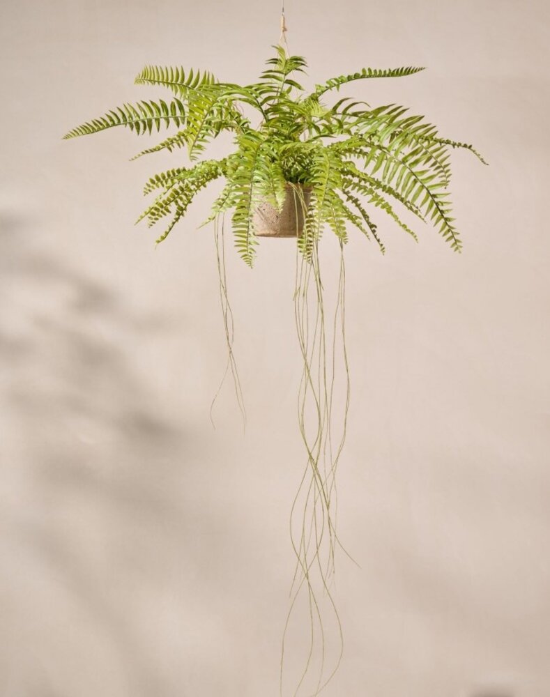 SILK-KA Artificial hanging fern green 74 cm / SILK-KA SILK-KA Artificial hanging fern green 74 cm / SILK-KA