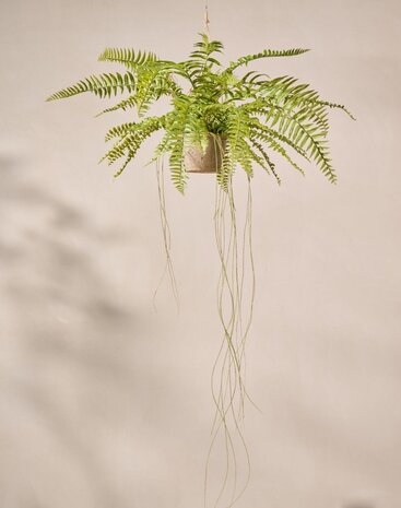 SILK-KA Artificial hanging fern green 74 cm / SILK-KA SILK-KA Artificial hanging fern green 74 cm / SILK-KA