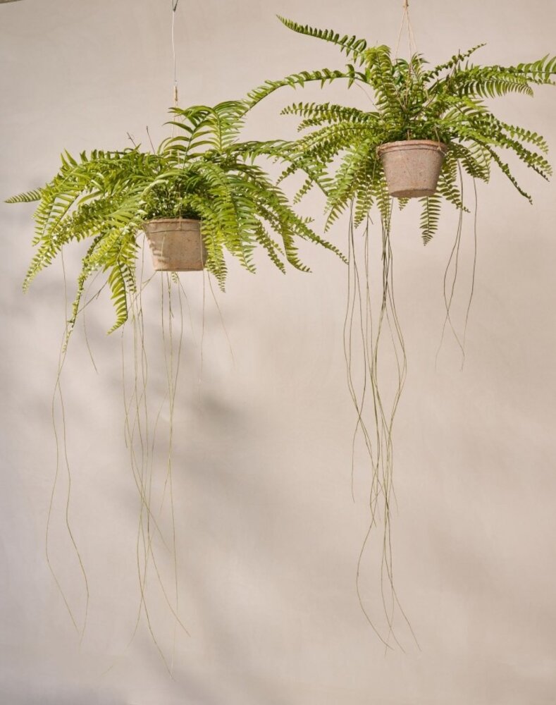 SILK-KA Artificial hanging fern green 74 cm / SILK-KA SILK-KA Artificial hanging fern green 74 cm / SILK-KA