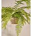 SILK-KA Artificial hanging fern green 76 cm / SILK-KA