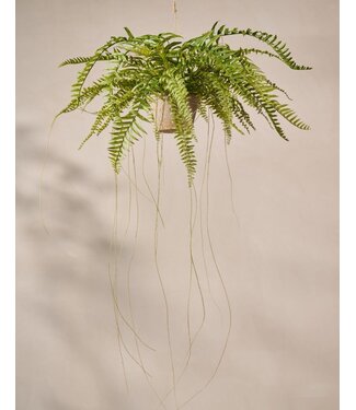 SILK-KA Fougère artificielle suspendue verte 76 cm / SILK-KA