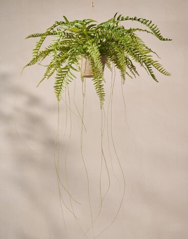 SILK-KA Artificial hanging fern green 76 cm / SILK-KA SILK-KA Artificial hanging fern green 76 cm / SILK-KA