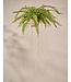 SILK-KA Kunst hangplant varen groen 76 cm / SILK-KA