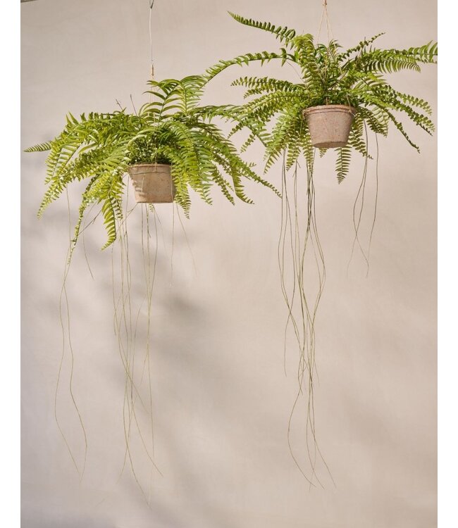 SILK-KA Artificial hanging fern green 76 cm / SILK-KA