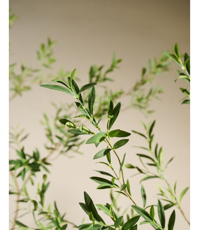 SILK-KA Artificial olive tree green | 227 cm