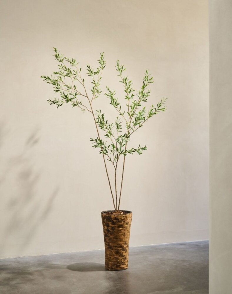 SILK-KA Kunstig oliventre grønn | 227 cm SILK-KA Kunstig oliventre grønn | 227 cm