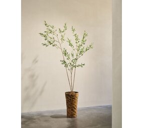 SILK-KA Olivo artificiale verde | 227 cm SILK-KA Olivo artificiale verde | 227 cm