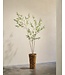 SILK-KA Kunstplant olijfboom groen | 227 cm