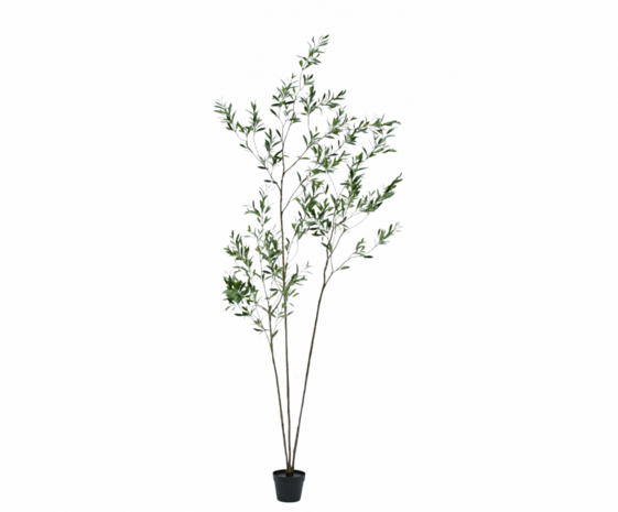 SILK-KA Artificial olive tree green | 227 cm