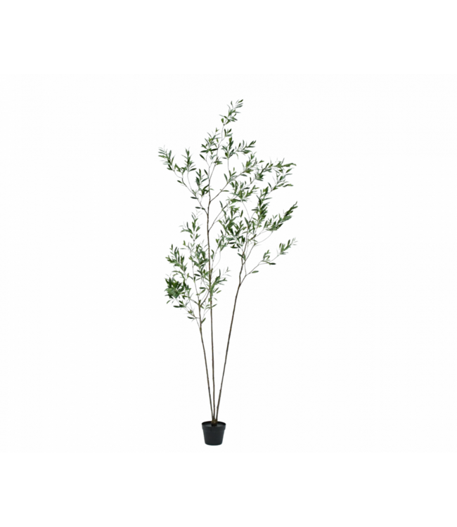 SILK-KA Artificial olive tree green | 227 cm