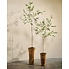 SILK-KA Artificial olive tree green | 227 cm