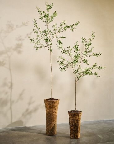 SILK-KA Kunstplant olijfboom groen | 234 cm SILK-KA Kunstplant olijfboom groen | 234 cm