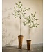 SILK-KA Artificial olive tree green | 234 cm