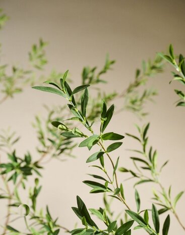 SILK-KA Artificial olive tree green | 234 cm