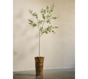 SILK-KA Olivier artificiel vert | 234 cm SILK-KA Olivier artificiel vert | 234 cm