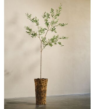 SILK-KA Olivo artificiale verde | 234 cm