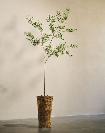 SILK-KA Künstlicher Olivenbaum, grün | 234 cm SILK-KA Künstlicher Olivenbaum, grün | 234 cm