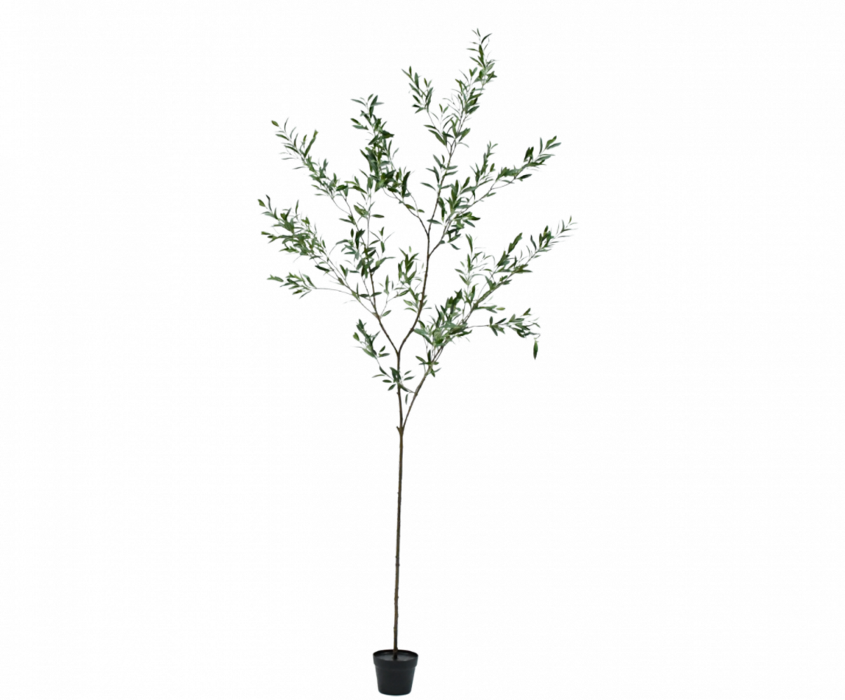 SILK-KA Künstlicher Olivenbaum, grün | 234 cm SILK-KA Künstlicher Olivenbaum, grün | 234 cm