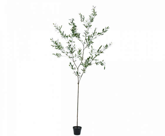 SILK-KA Olivo artificial verde | 234 cm SILK-KA Olivo artificial verde | 234 cm