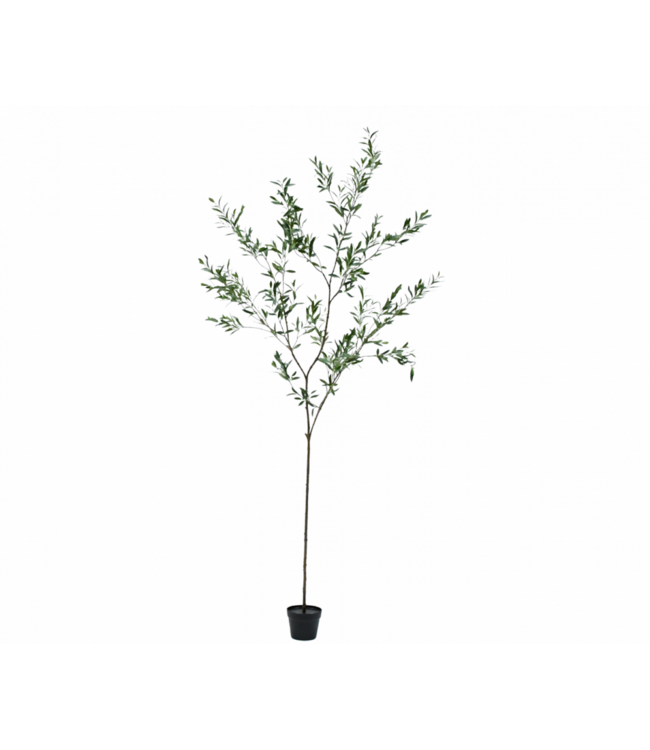 SILK-KA Olivo artificiale verde | 234 cm