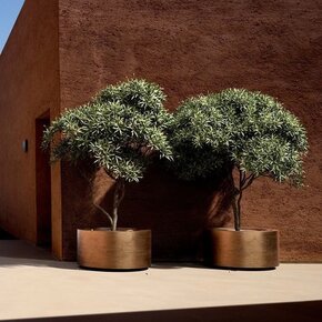 Cuprum Planters Cuprum Planters