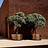 Cuprum Planters