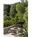 GOMMAIRE Outdoor Meubels | Organic Living Tocadiscos Lazy Faye | Teca gris natural