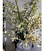 SILK-KA Bouquet di fiori artificiali "Primavera di lusso"