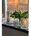 Skogsberg & Smart Hurricane Lamp Boule Large | Clear
