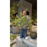 SILK-KA Artificial flower bouquet "Dill mix"