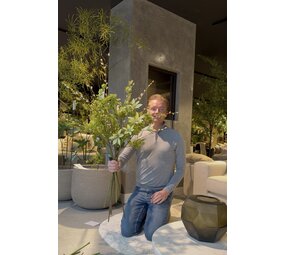 SILK-KA Künstlicher Blumenstrauß „Ein Hauch von Grün“ SILK-KA Künstlicher Blumenstrauß „Ein Hauch von Grün“