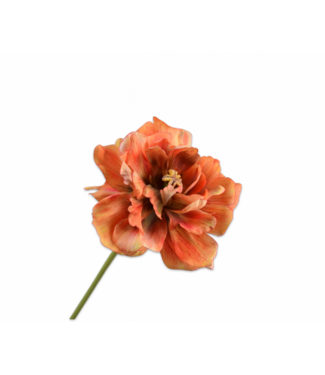 SILK-KA Tulp Steel Oranje/Bruin | 69 cm