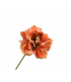 SILK-KA Tulpenstiel orange/braun | 69 cm