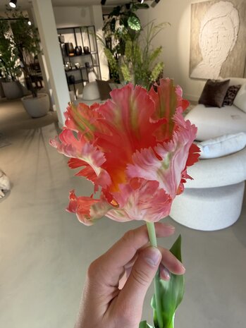 SILK-KA Tulip Stem Pink/Beauty RT | 71 cm