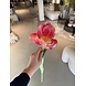 SILK-KA Tulipano Acciaio Bellezza | 84 cm SILK-KA Tulipano Acciaio Bellezza | 84 cm