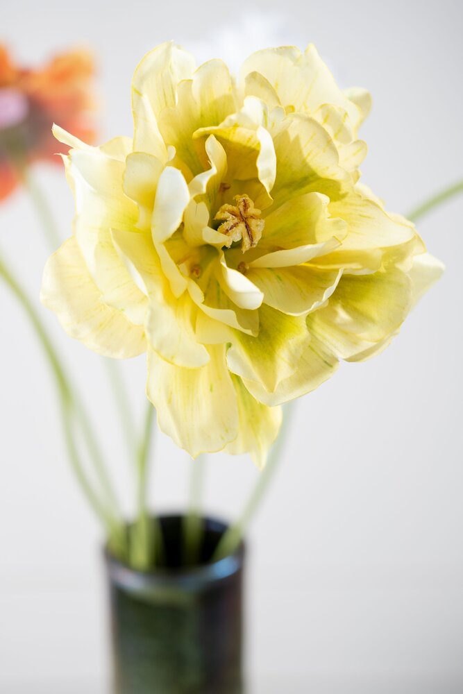 SILK-KA Stelo di tulipano giallo | 69 cm