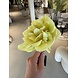 SILK-KA Stelo di tulipano giallo | 69 cm