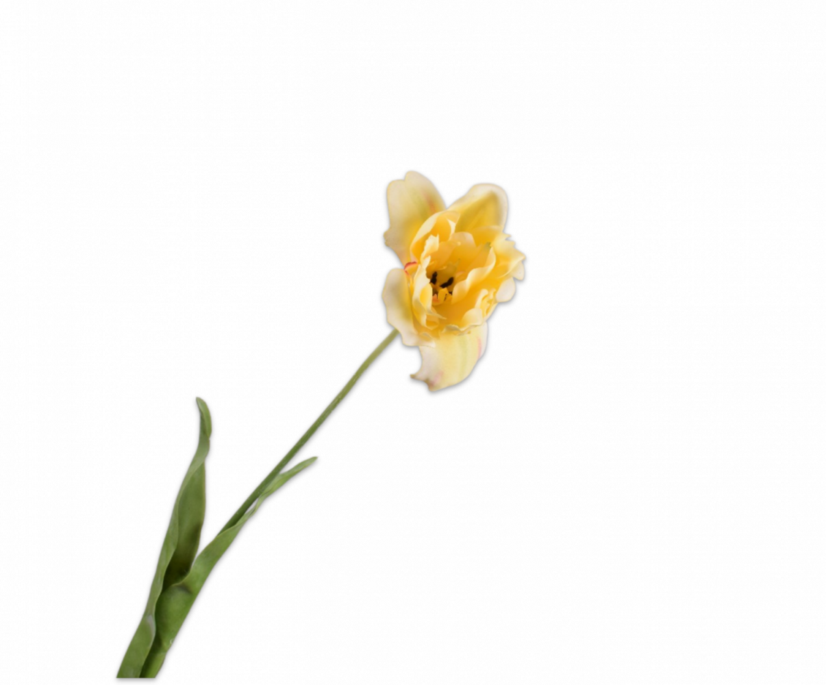 SILK-KA Tulipanstilk Gul RT | 72 cm