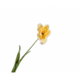 SILK-KA Tulp Steel Geel RT | 72 cm