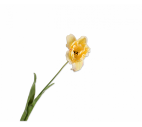 SILK-KA Tulip Stem Yellow RT | 72 cm