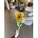 SILK-KA Tulpenstiel Gelb RT | 72 cm
