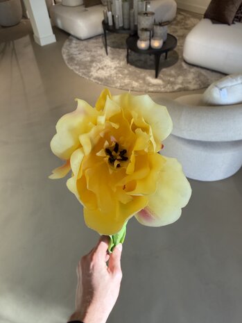 SILK-KA Tulipanstilk Gul RT | 72 cm
