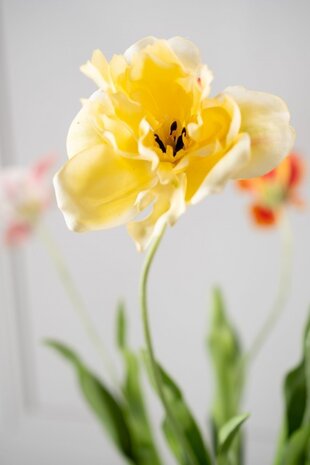 SILK-KA Stelo di tulipano giallo RT | 72 cm