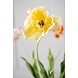 SILK-KA Tulip Stem Yellow RT | 72 cm SILK-KA Tulip Stem Yellow RT | 72 cm