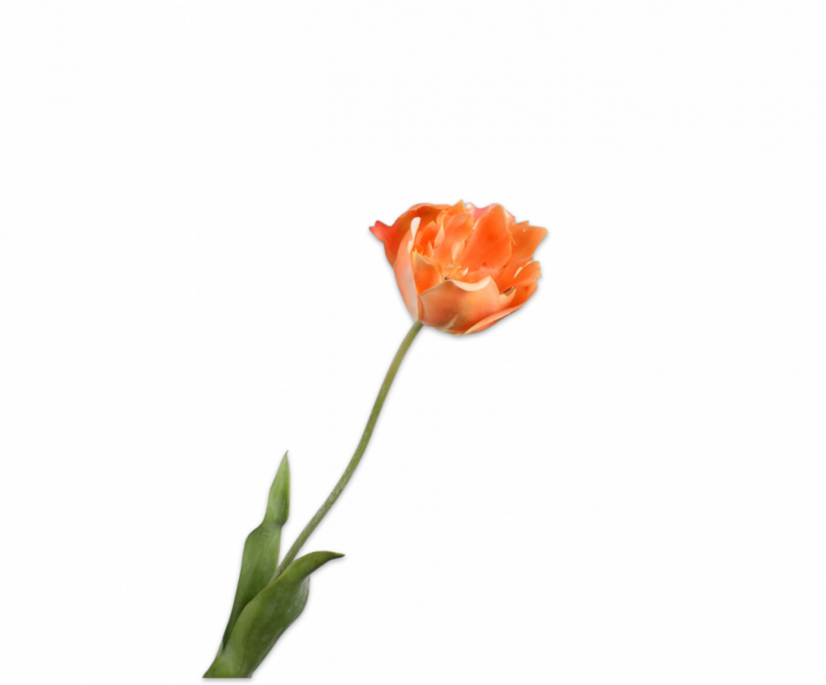 SILK-KA Tallo de tulipán naranja RT | 72 cm SILK-KA Tallo de tulipán naranja RT | 72 cm