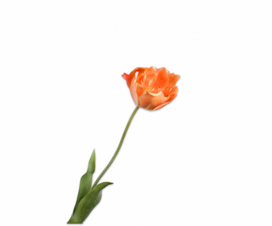 SILK-KA Tulp Steel Oranje RT | 72 cm