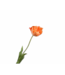 SILK-KA Tulipanstilk oransje RT | 72 cm