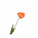 SILK-KA Stelo di tulipano arancione RT | 72 cm